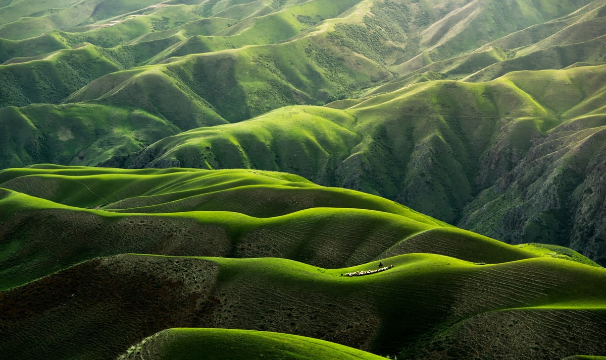 Beautiful image of rolling green hills